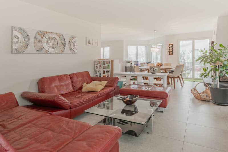 Spacious single-family house with pool (6)