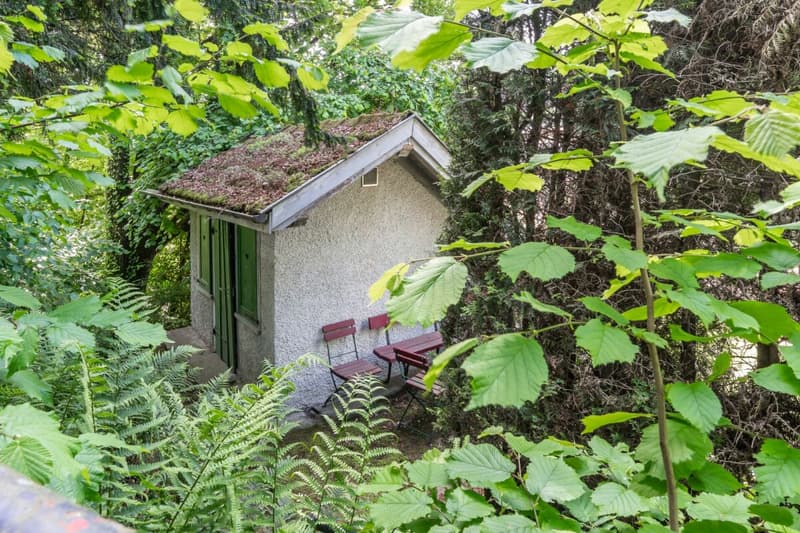 Living on the edge of the old town (12)