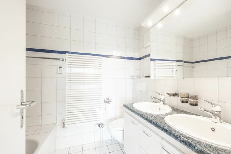 Appartement avec terrasse à Breite Schaffhausen (12)