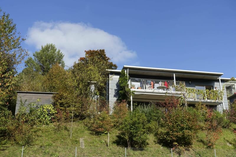 5.5-Zimmer-Einfamilienhaus Nähe Altstadt (1)