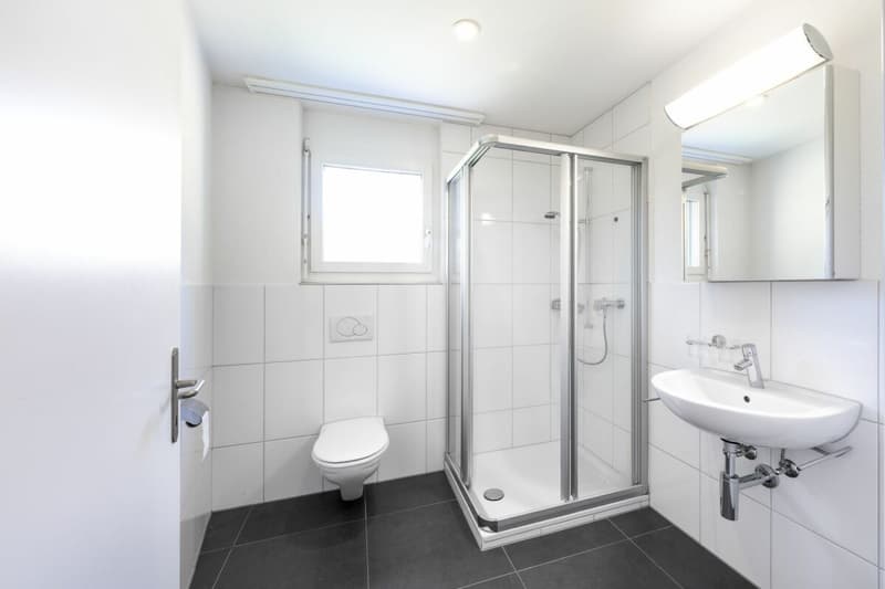 5.5-Zimmer-Einfamilienhaus Nähe Altstadt (8)