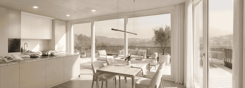 Neubau Rhyterrasse Flurlingen (4)