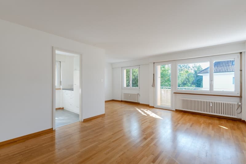 Zeughausstr. 45 3.5 ZW 1. OG li Wohnzimmer (1)
