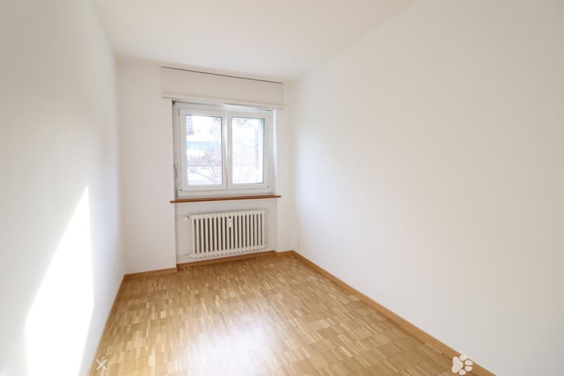 ZImmer 2