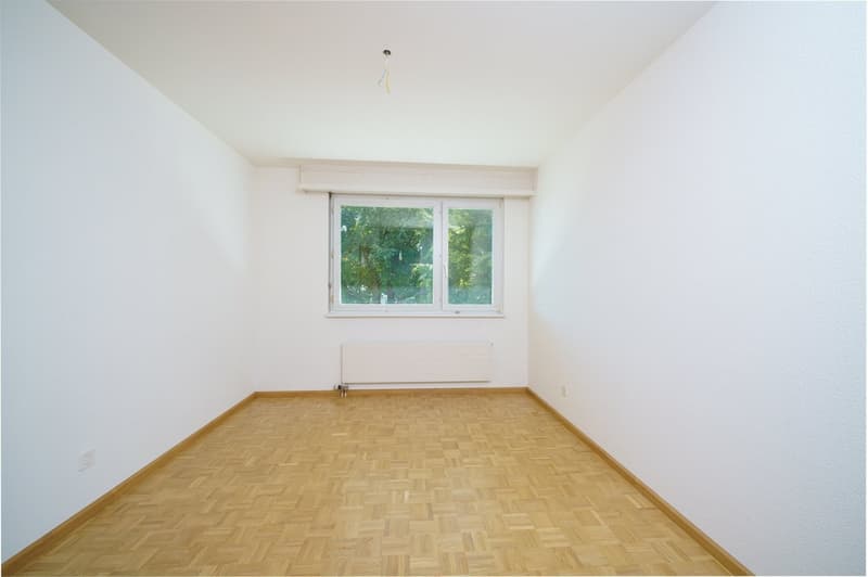 Zimmer3