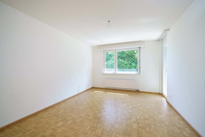 Zimmer2