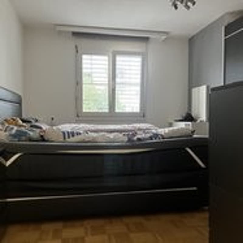 Primo affitto netto gratuito - Benvenuti nella vostra nuova casa (4)