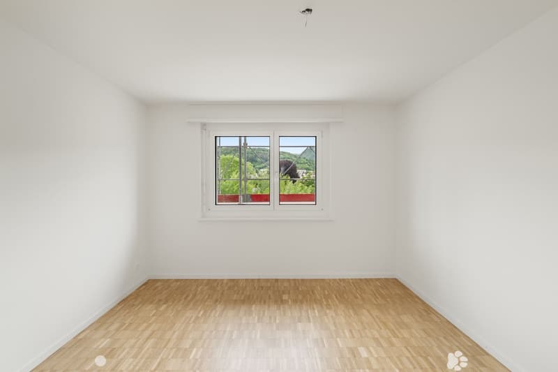 zimmer 1