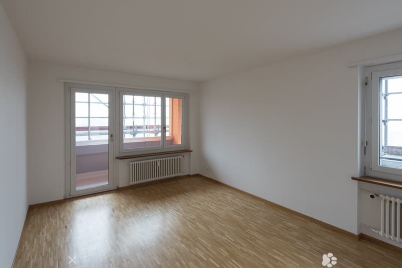 zimmer 1