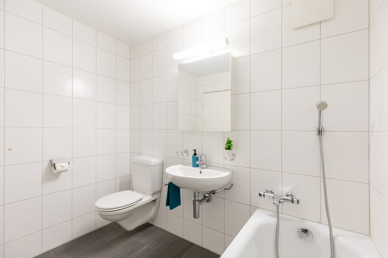 Ruttigerweg2-Olten-3.5-Zi-WHG_5D1_0680