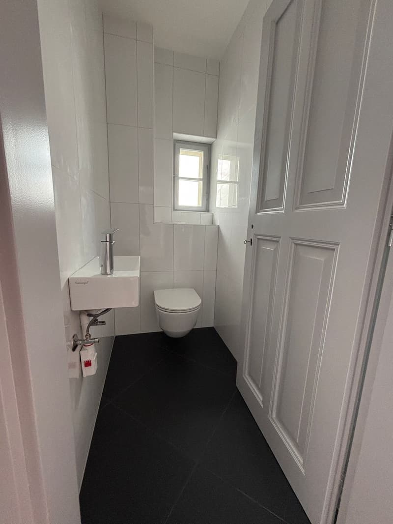 1001_WC