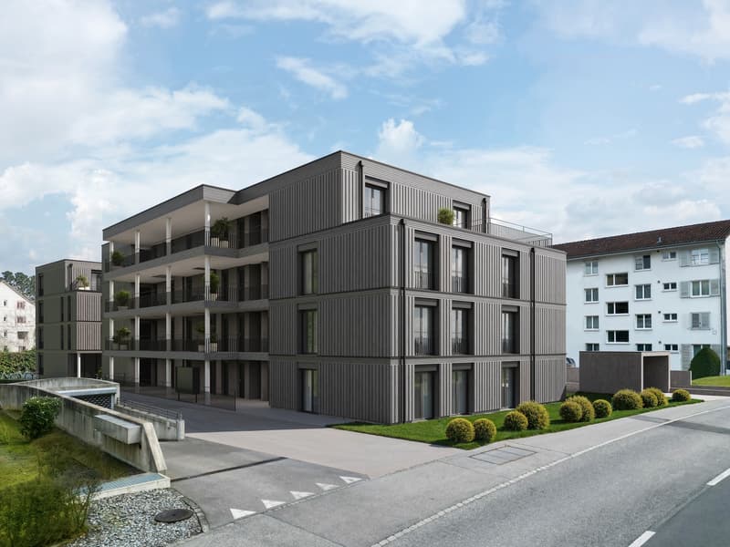 Letzte Chance: Mieten wie ein Eigentümer 3.5-Zimmer-Neubauwohnungen mit Kochinsel im Kräuchi-Areal (4)