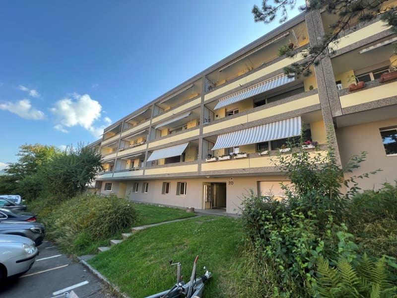 IMG_1090