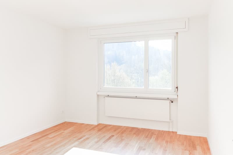 Zimmer1