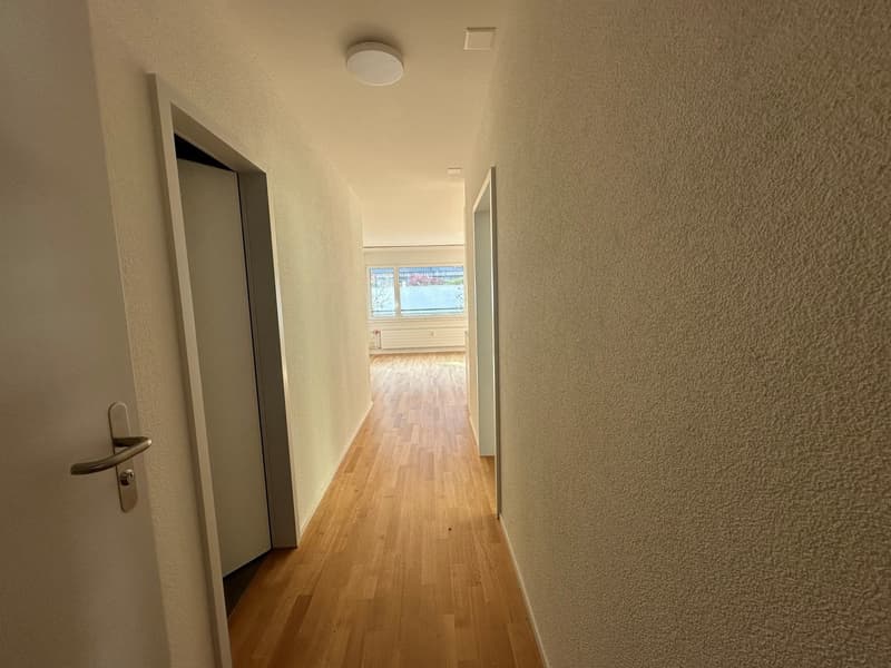Zähringerstrasse 36, 1.5-ZW
