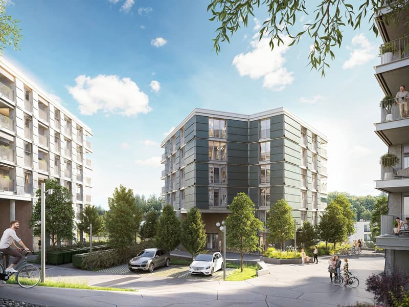 First Rental Aarerain - Last Chance! (2)