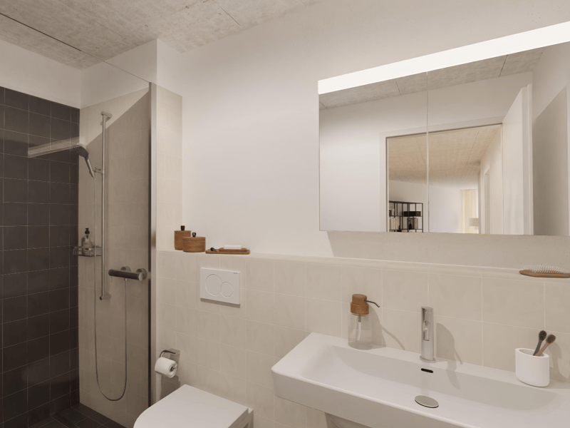 First Rental Aarerain - Last Chance! (6)
