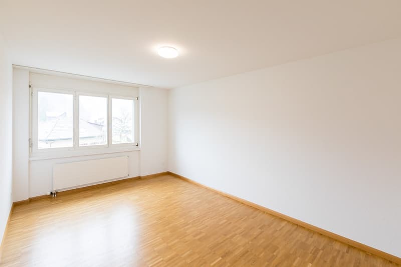 Zimmer2