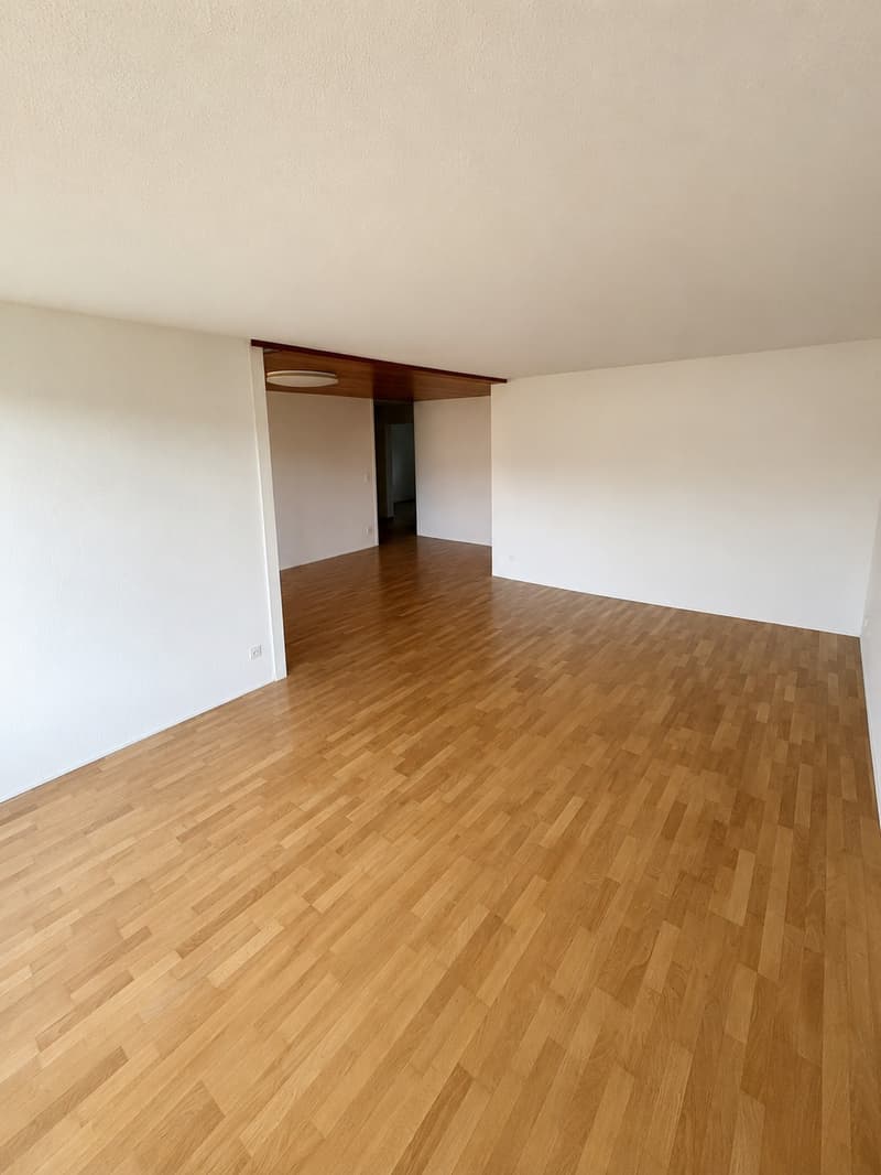 Grosszügige 4.5-Zimmer-Wohnung mit Balkon und Bergblick in Thun (3)
