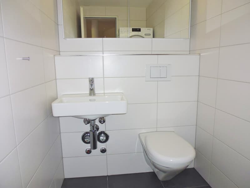 009 - WC
