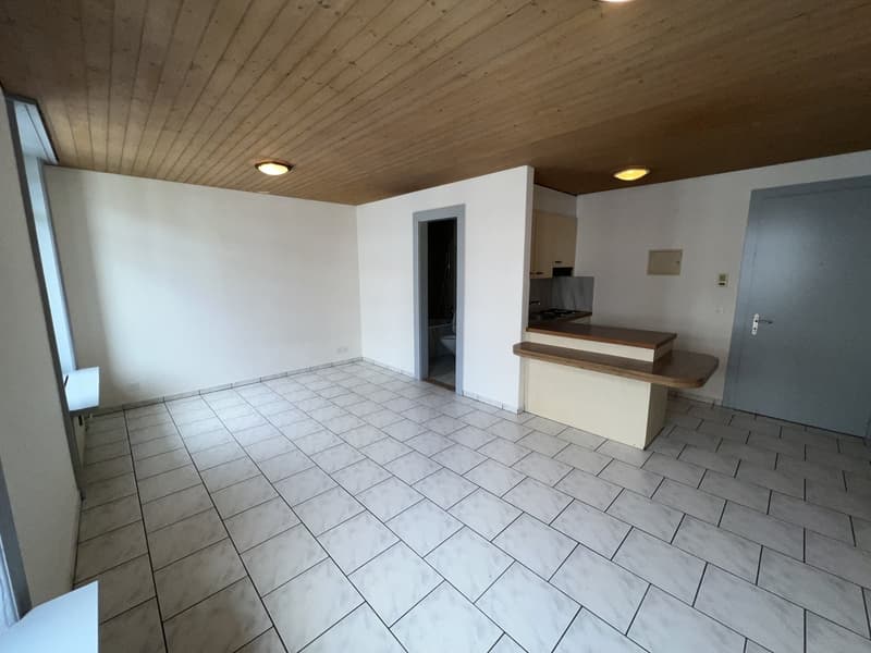 Wohn- und Schlafzimmer 1
