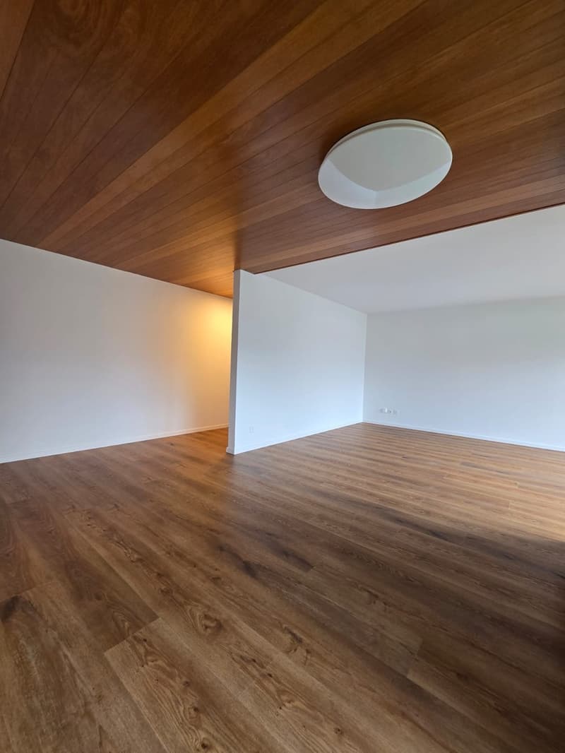 Grosszügige 4.5-Zimmer-Wohnung mit Balkon und Bergblick in Thun (10)