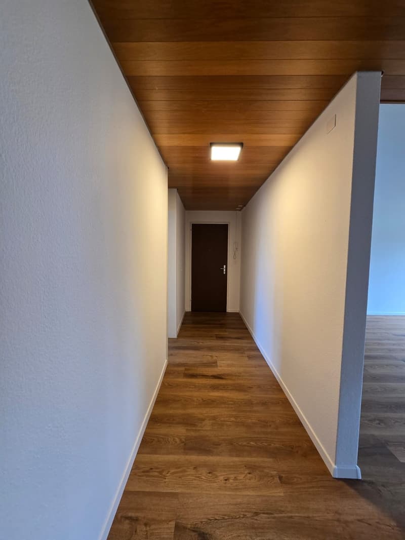 Grosszügige 4.5-Zimmer-Wohnung mit Balkon und Bergblick in Thun (4)