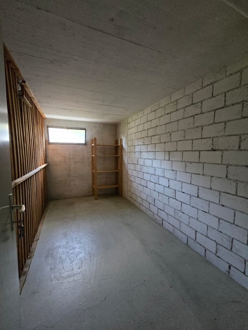 Grosszügige 4.5-Zimmer-Wohnung mit Balkon und Bergblick in Thun (13)