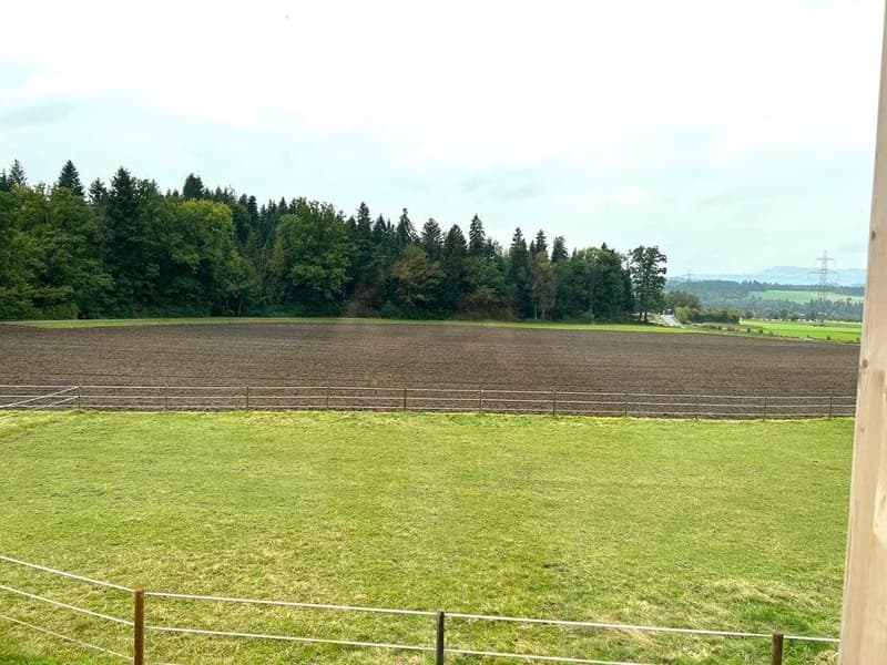 Aussicht