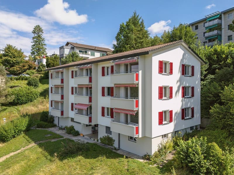 Aussenansicht_Aarhaldenstrasse24