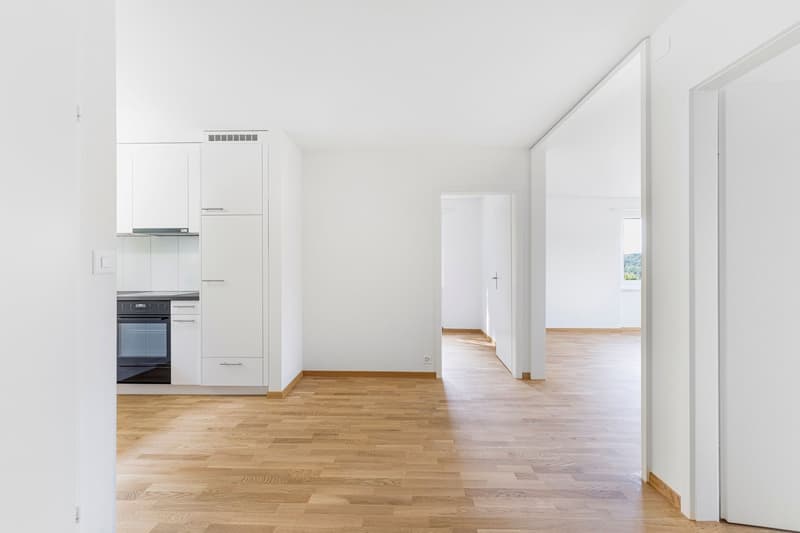 Eingang_Aarhaldenstrasse24