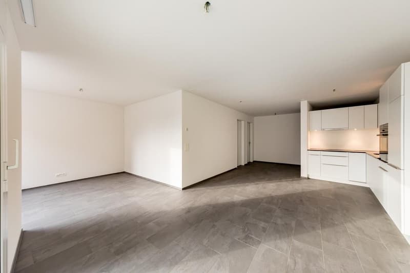 Wohnzimmer / Küche