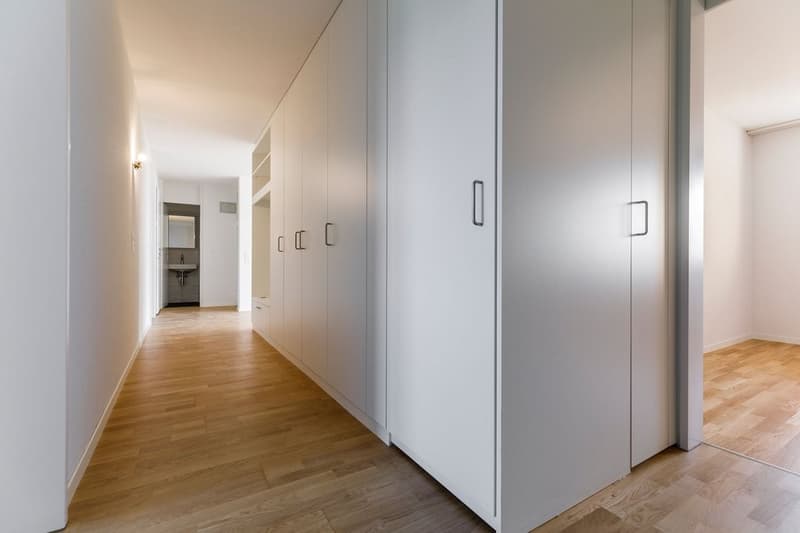 17-08_Buchholzstrasse_Thun-5_20_klein.jpg