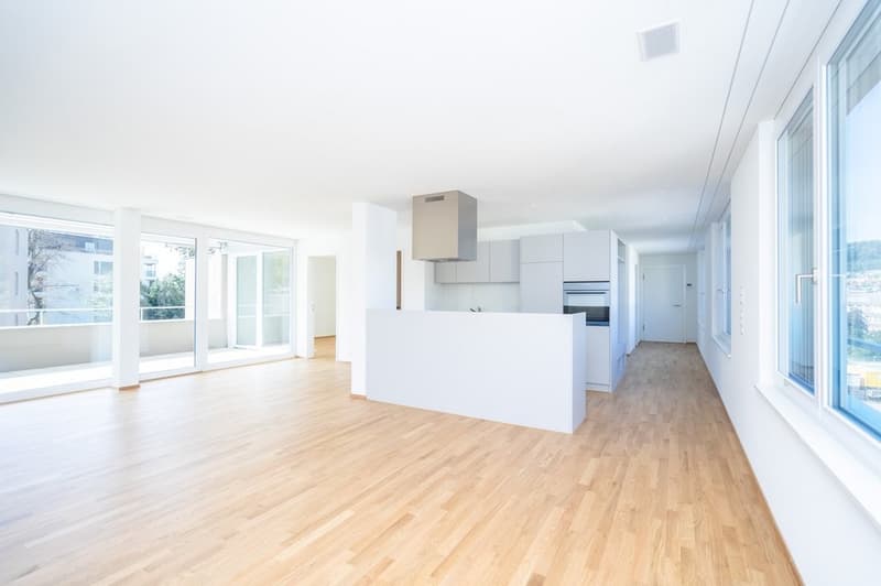 Wohnzimmer / Küche