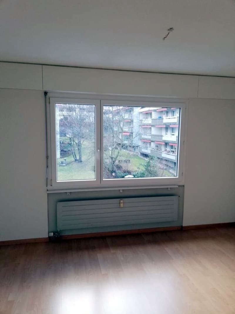 Zimmer1