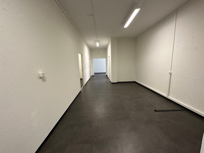 white walls, gray floor, closed doors, lights on ceiling