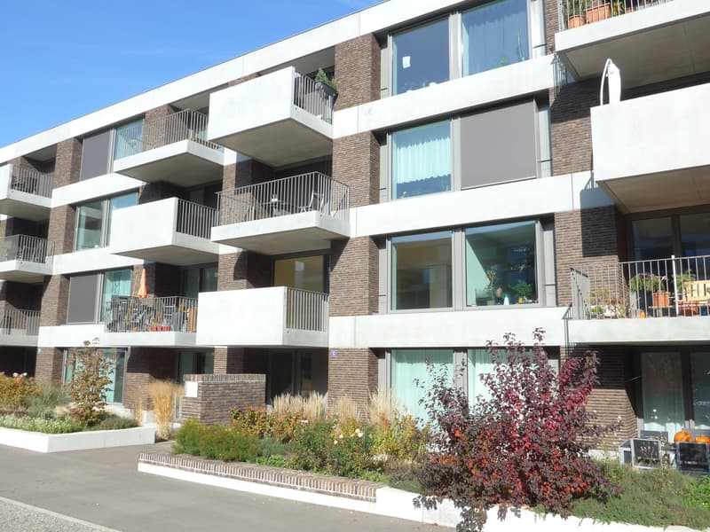 Expérience de vie moderne dans le vert, bien connectée (2)