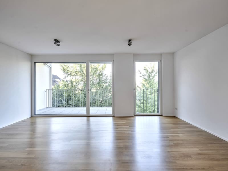 Vivere nel quartiere di Zürichberg (5)