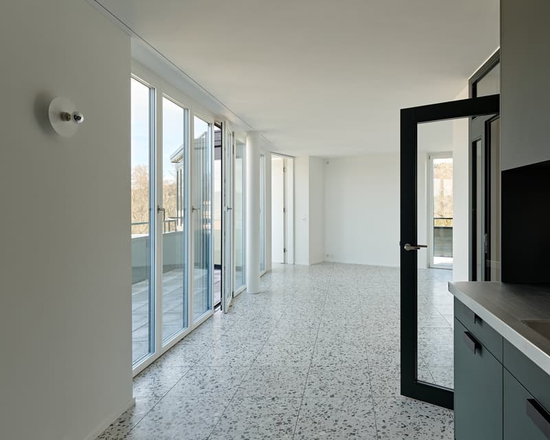 Affitto New Building: appartamenti 3.5 locali nel Wohnpark Buchholzstrasse (4)