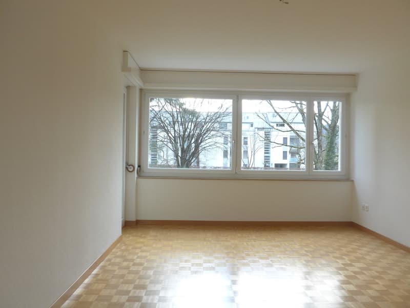 Praktische 4-Zimmerwohnung in gepflegter Überbauung (7)