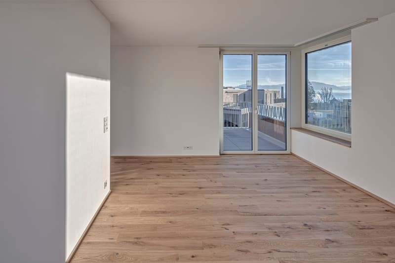 Modern attic apartment with beautiful lake and mountain views (2)