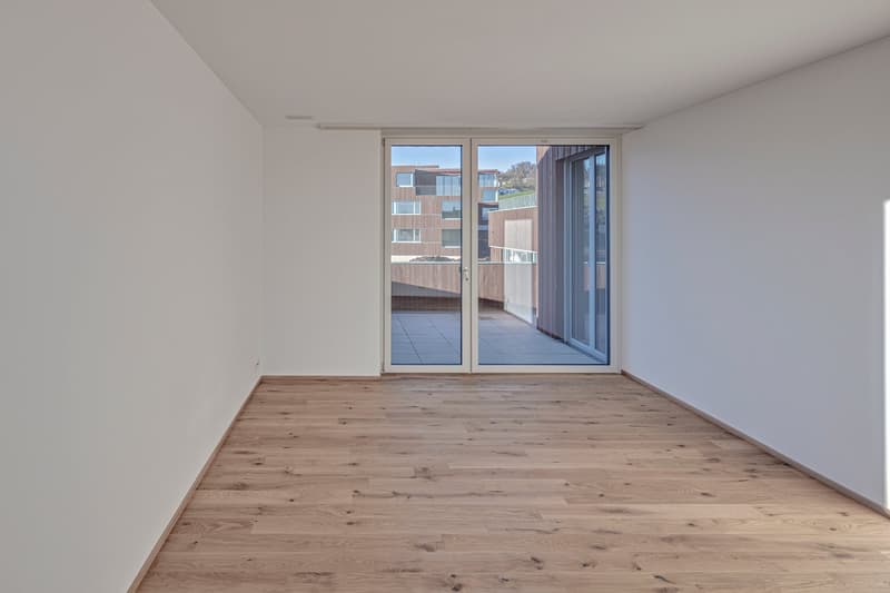 Modern attic apartment with beautiful lake and mountain views (3)