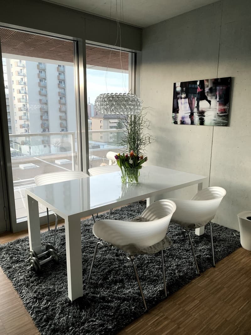 Moderne Loft-Wohnung mit Aussicht (2)
