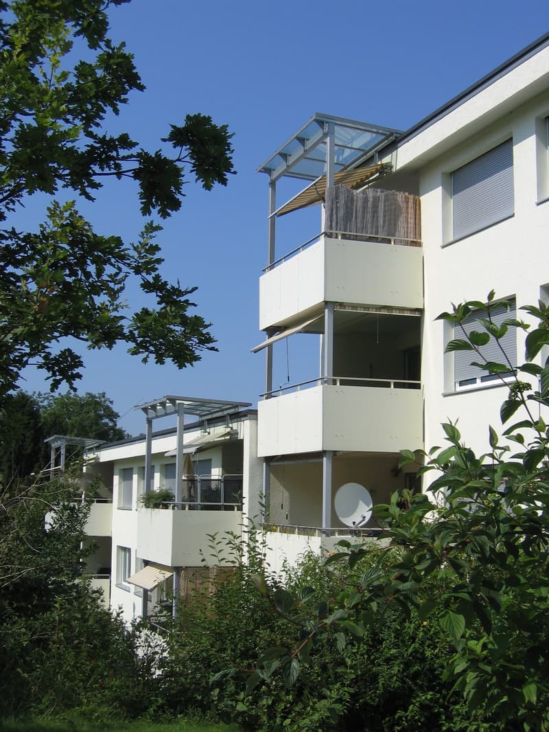 2.5-Zimmerwohnung an ruhiger Lage im Zollikerberg (2)