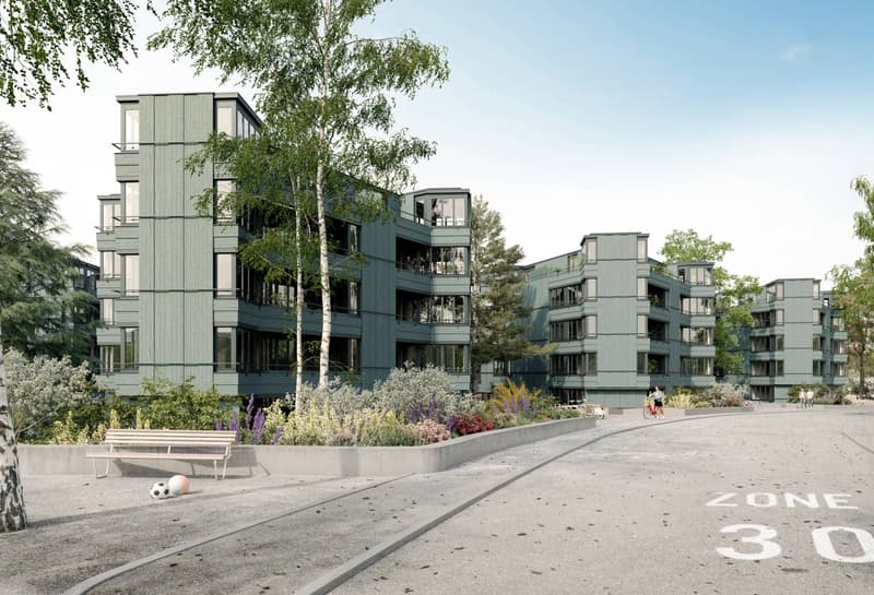 1.5-Zimmer Studio mit atemberaubender See- und Stadtsicht (1)