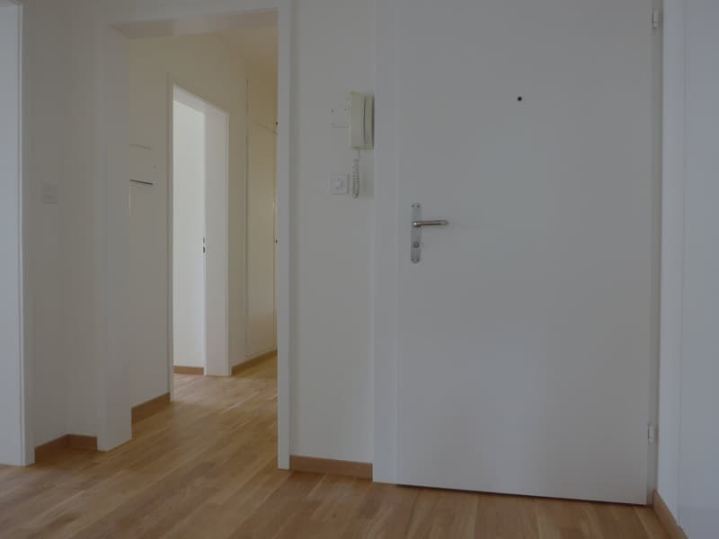 Helle 4.5-Zimmer-Wohnung mit Balkon in Zollikerberg (2)
