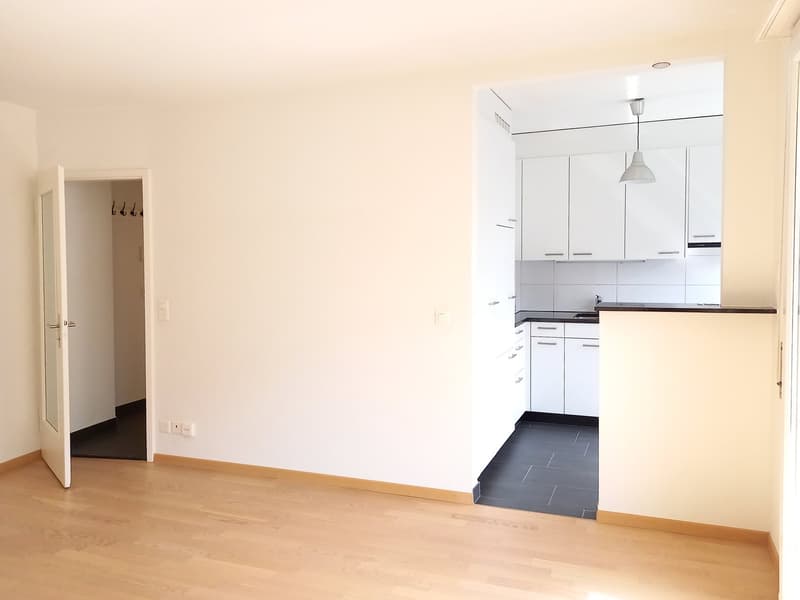 Ruhiggelegene, moderne Wohnung mit Gartensitzplatz (3)