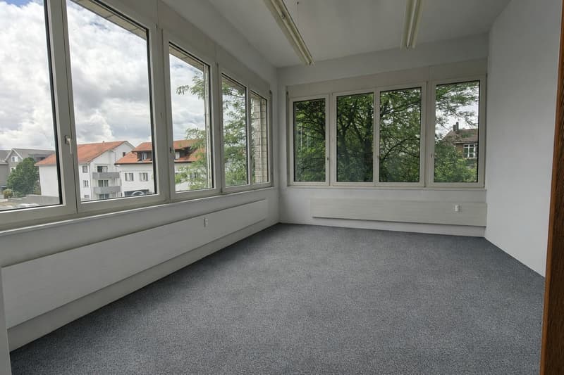 Empty room, grey carpet, white walls, white ceiling, windows with white frames, no visible amenities