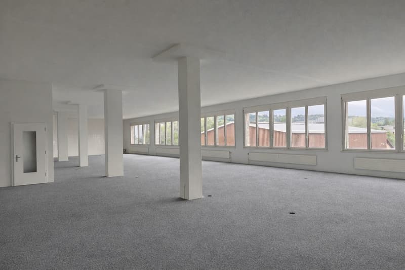 empty room, carpeted floor, large windows, white walls, multiple white columns