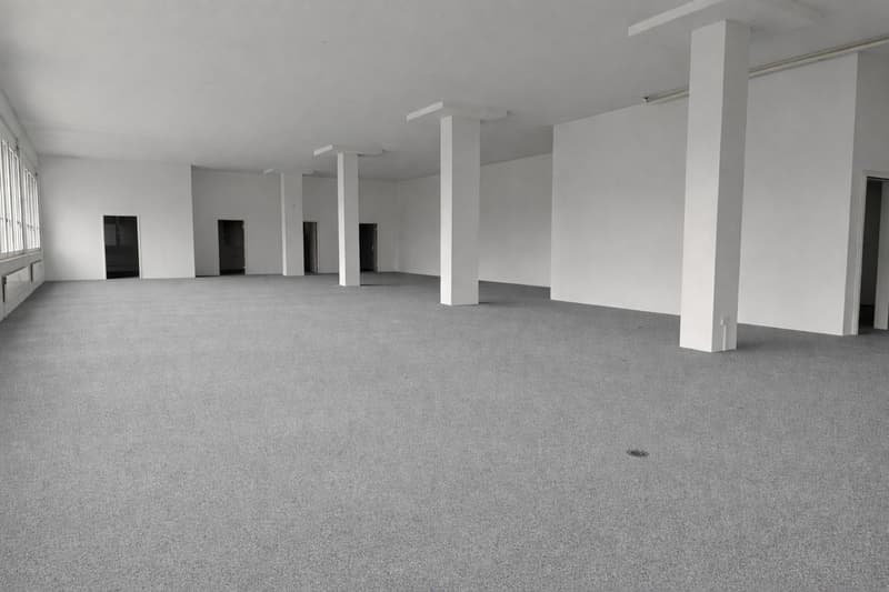 Empty room, white walls, gray carpet, four pillars, four doors, windows on the left wall
